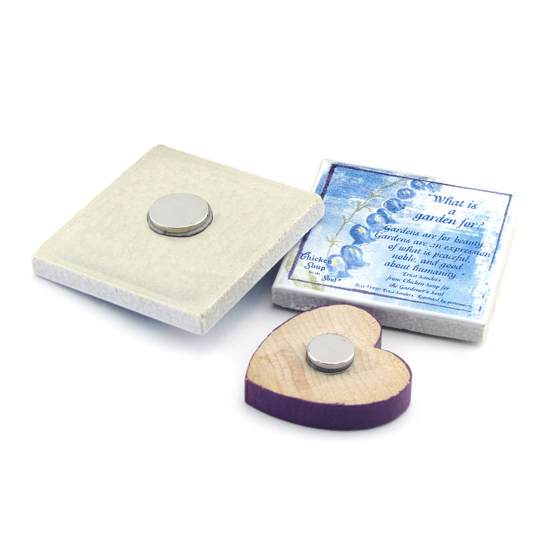 Super Magnet Disc, Magnet Source, Neodymium, 0.315 in Dia, 0.118 in H 10 pk - 4