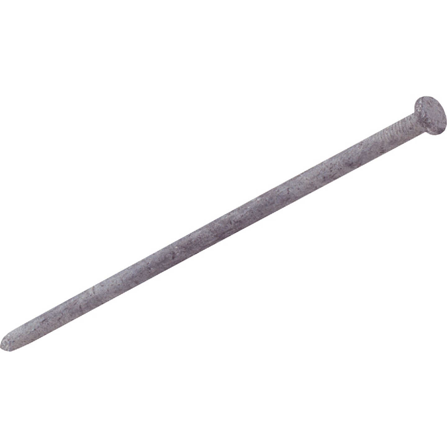Grip-rite 12HGSPK