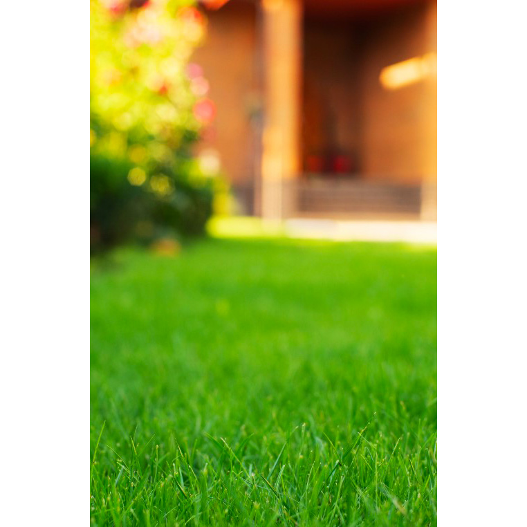 Lawn Food, True Organic, Solid, Fertilizer, 25 lb Bag, 10-1-1 N-P-K Ratio - 3