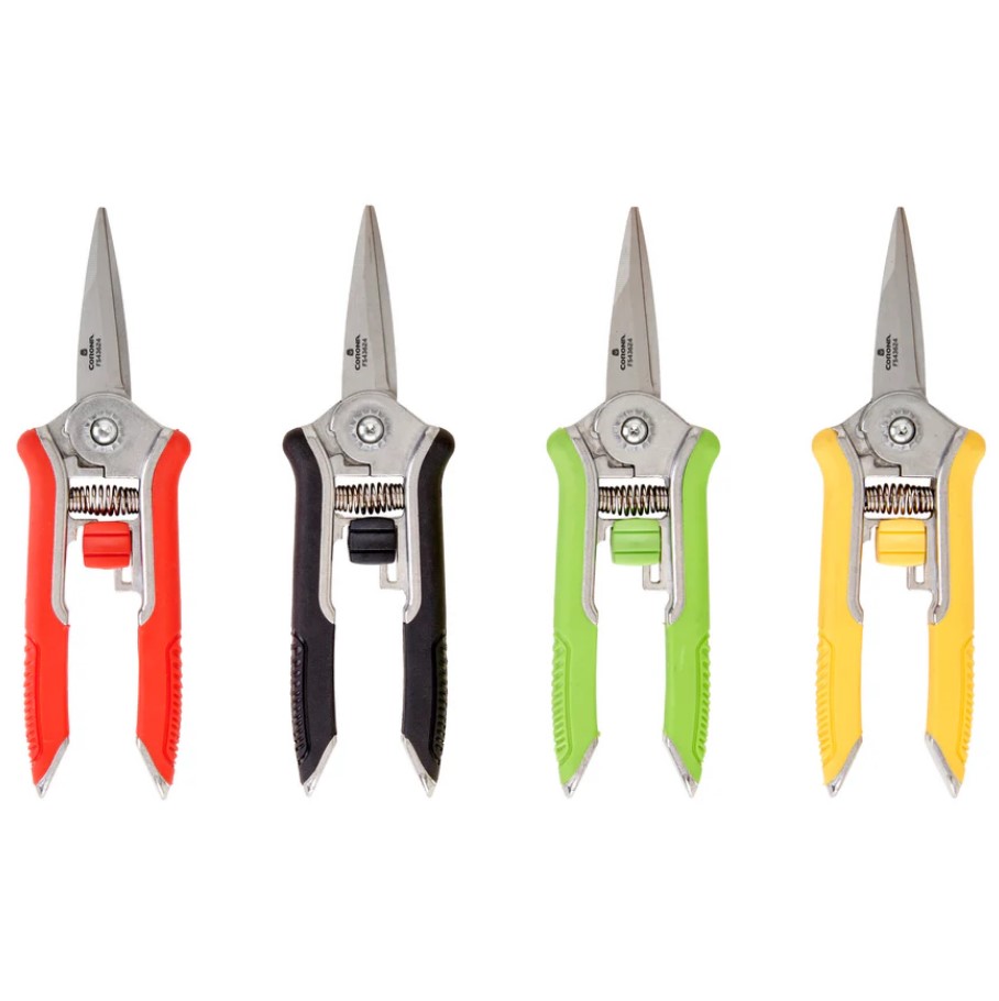 Corona FS43624