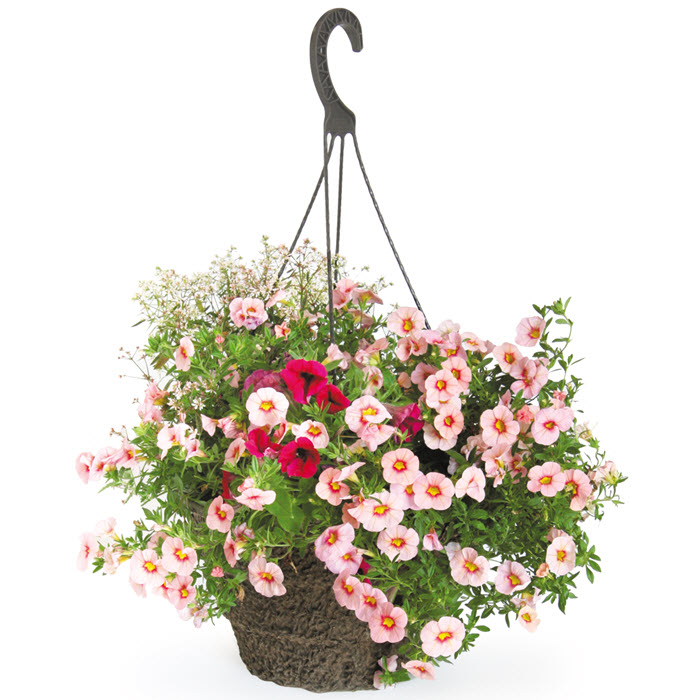 Spring Creek Gardens 