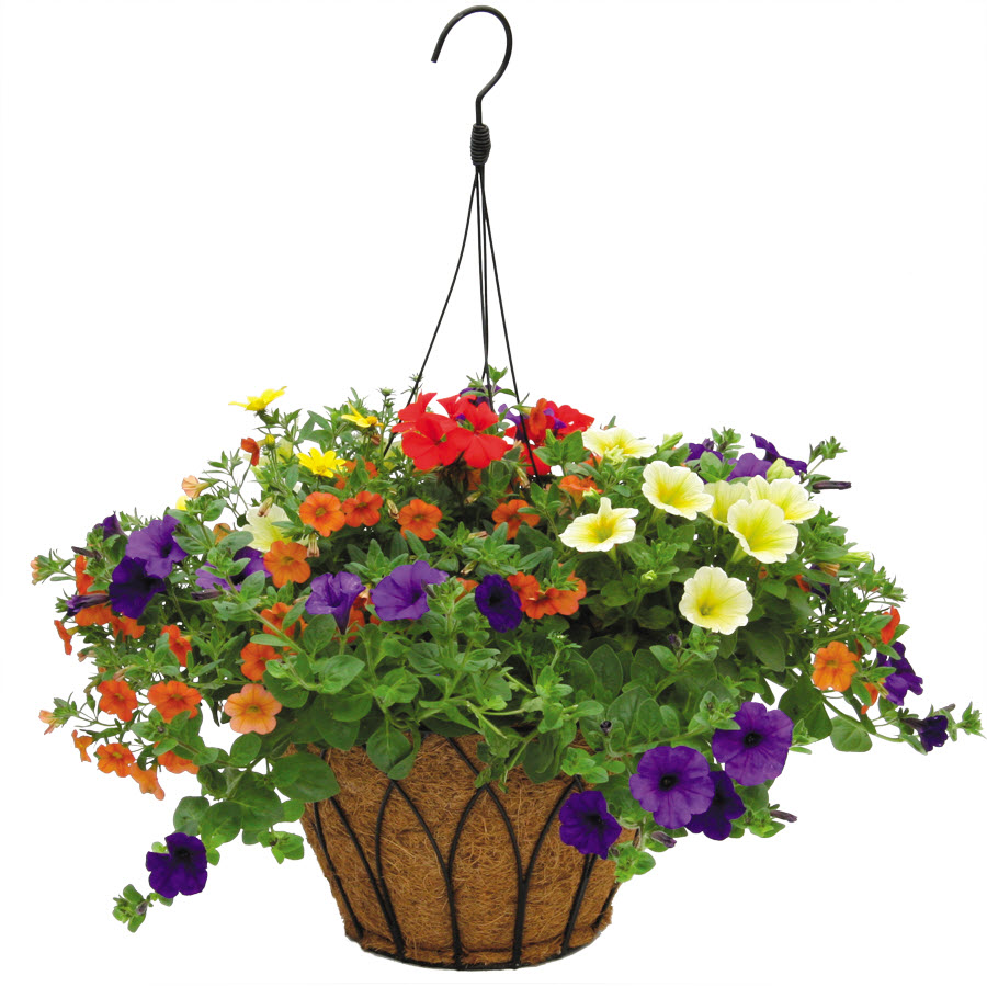 Spring Creek Gardens 