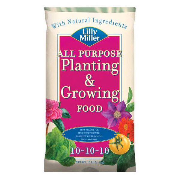 Lilly Miller 100099122