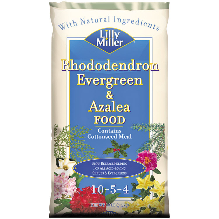 Lilly Miller 100099124