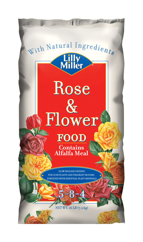 Lilly Miller 100099131
