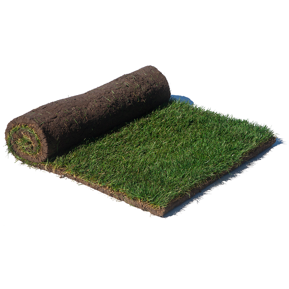 Jb Instant Lawn SOD
