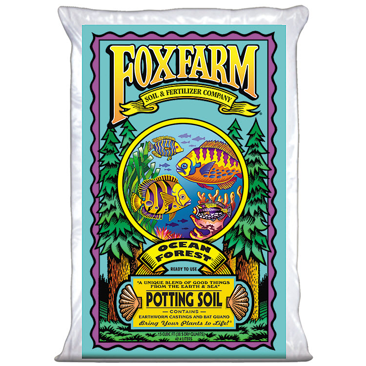 Ocean Forest F42 790058