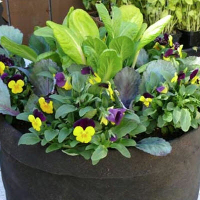 Aeration Container, Smart Pot, 20 in W, 15-1/2 in H, Fabric, 20 gal - 2