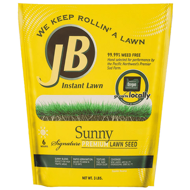 Jb sun3