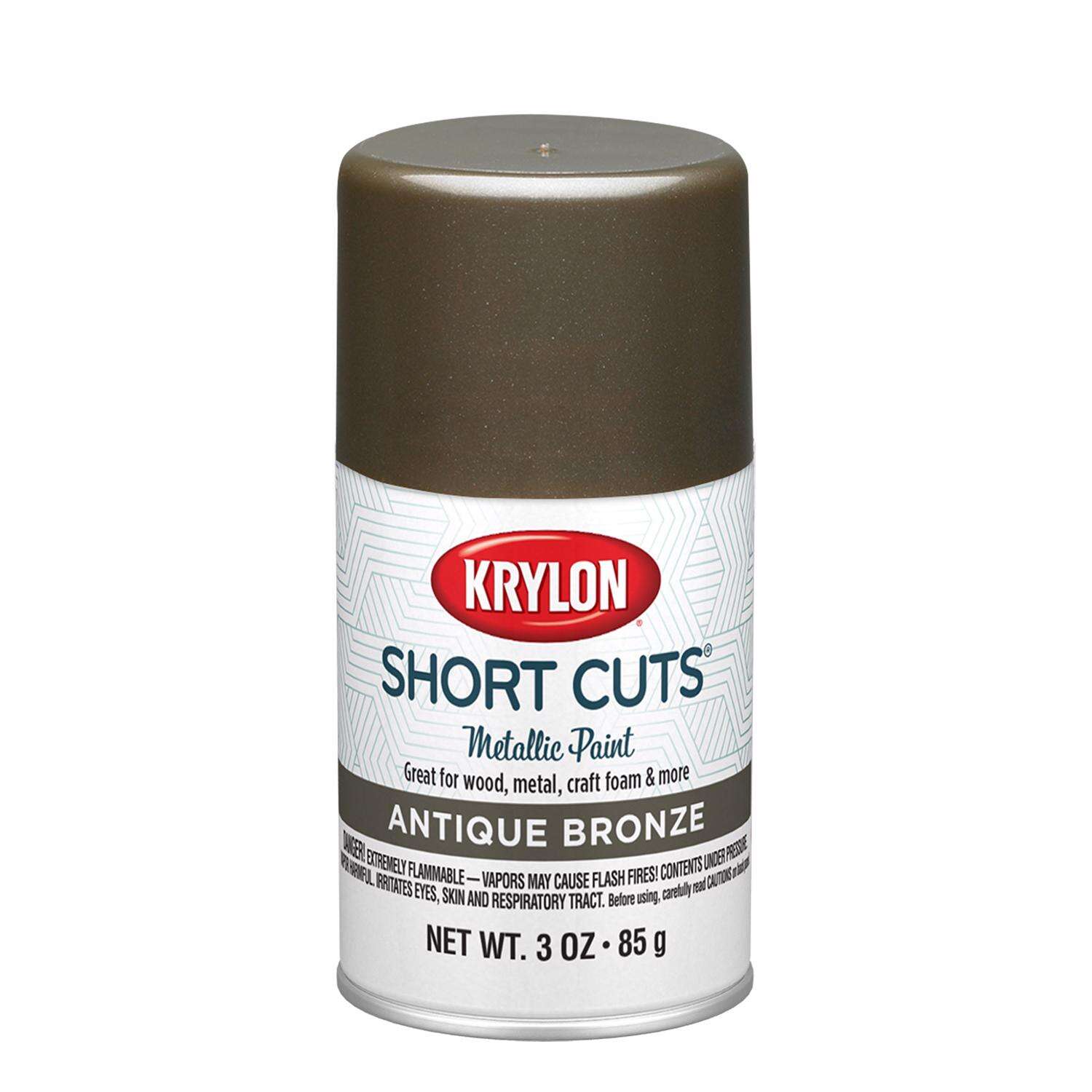 Krylon KSCS09900
