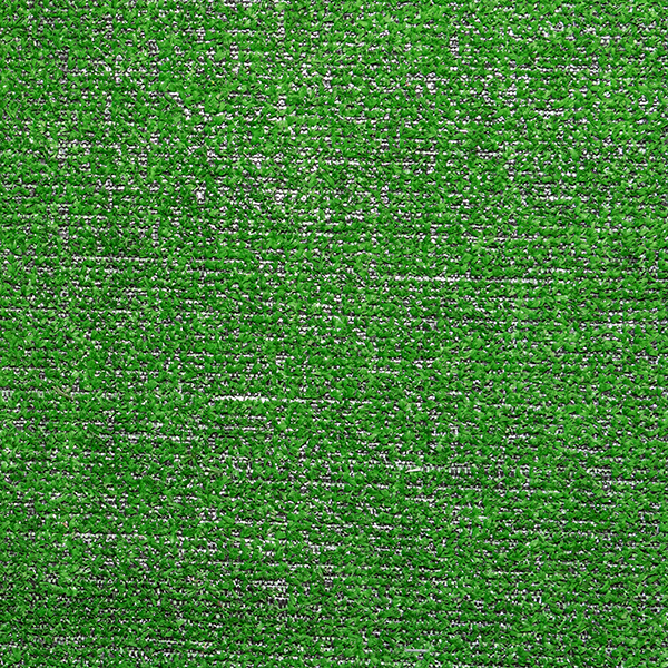 Shaw Industries 738Z6 300