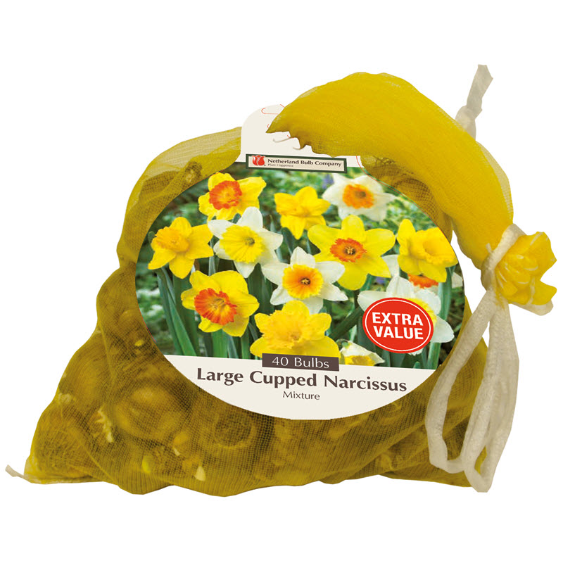 Netherland Bulb Company 8001-912-687