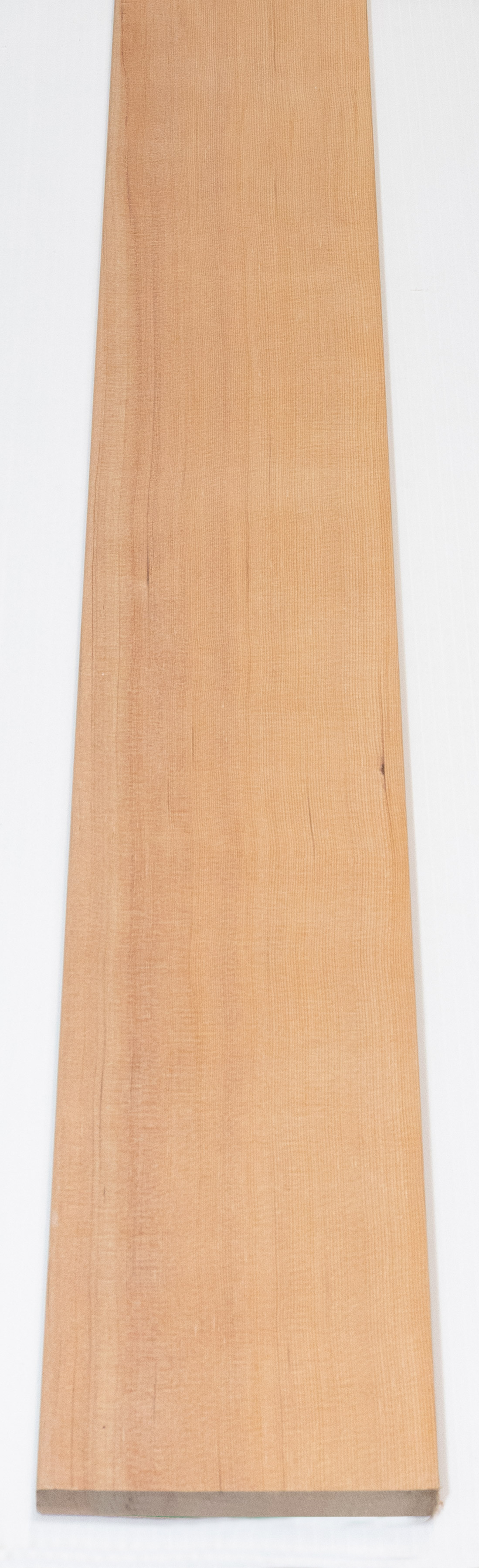 Brightwood FVGC10808