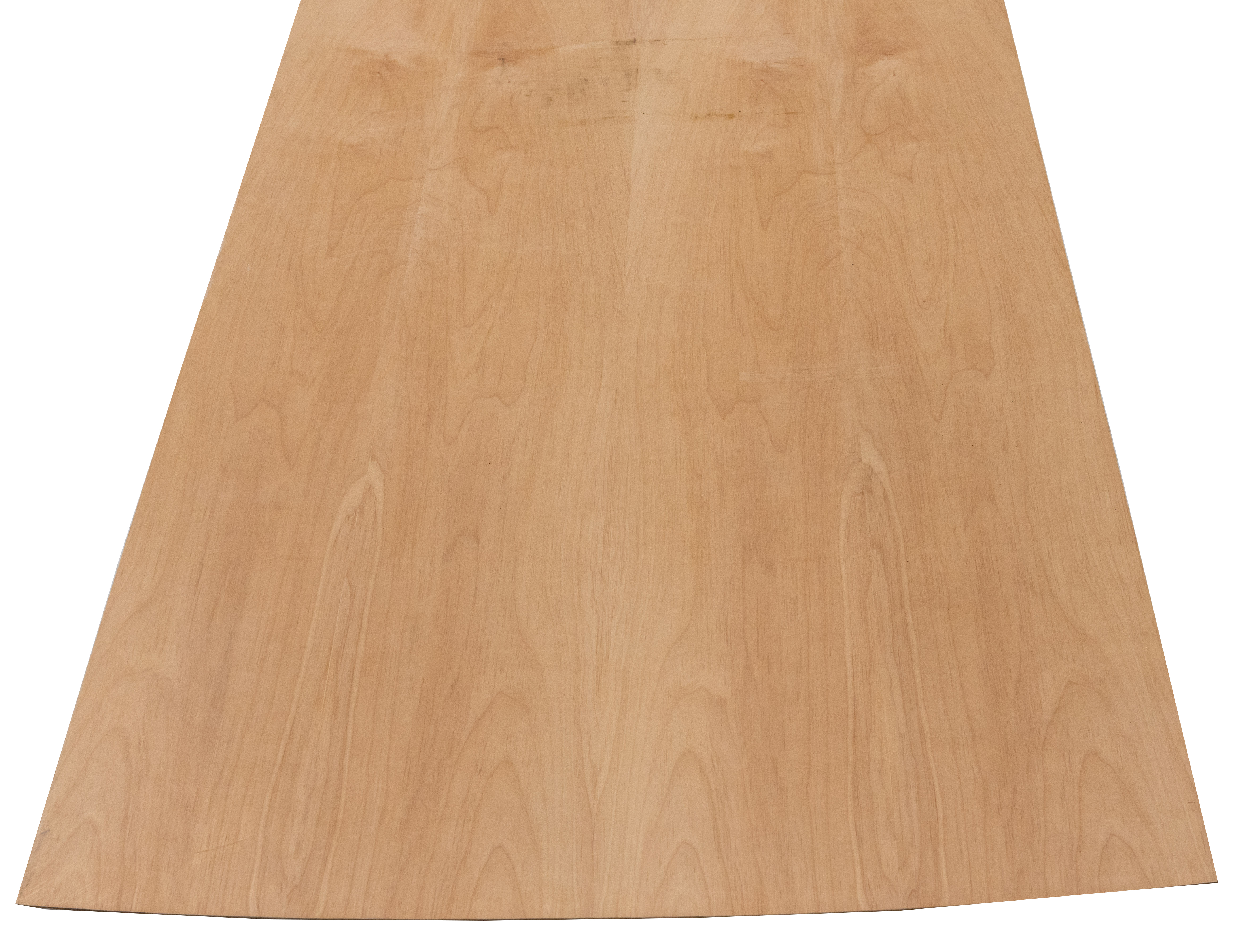 Tree Products 25240