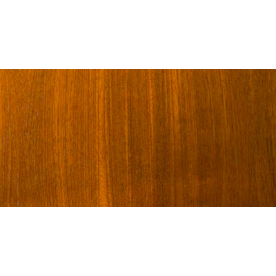 Stain and Sealer, Penofin, Transparent, Mission Brown, 1 gal - 1