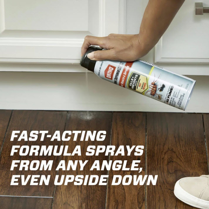 Ant & Roach Killer, Ortho, Home Defense Max, Aerosol, 14 oz - 2