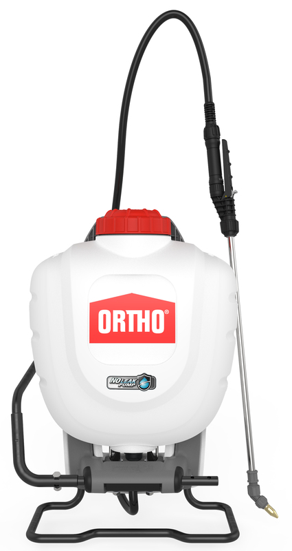 Ortho 190630