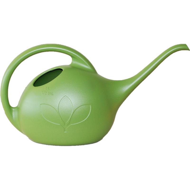 Novelty 30601
