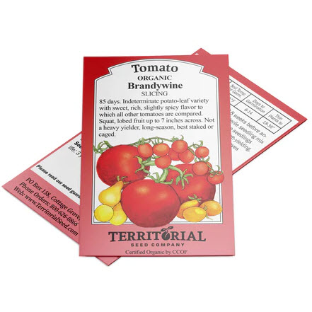 Territorial Seed TM889/WS