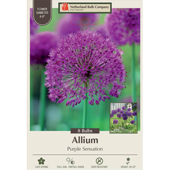 Netherland Bulb Company 1150100670