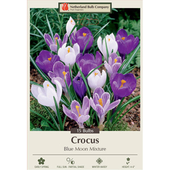 Netherland Bulb Company 2321905670