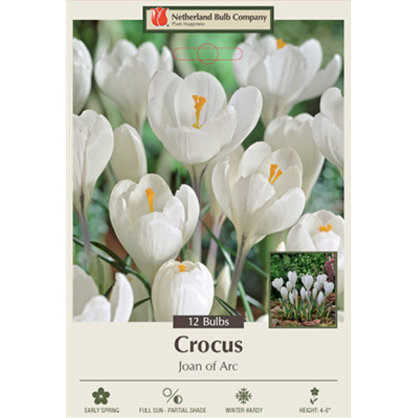 Netherland Bulb Company 2321100670