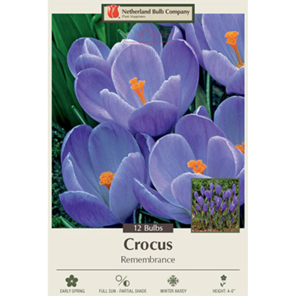 Netherland Bulb Company 2321102670