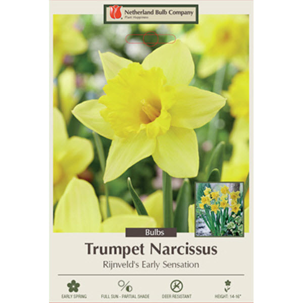 Netherland Bulb Company 4312117670