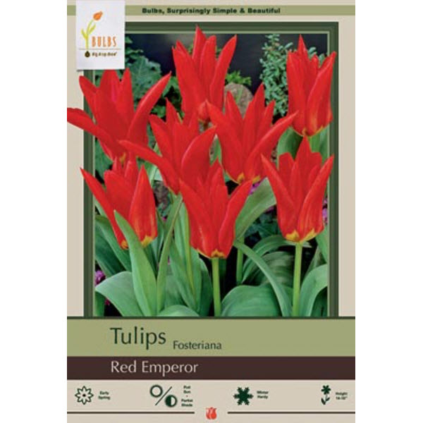 Netherland Bulb Company 5903328670