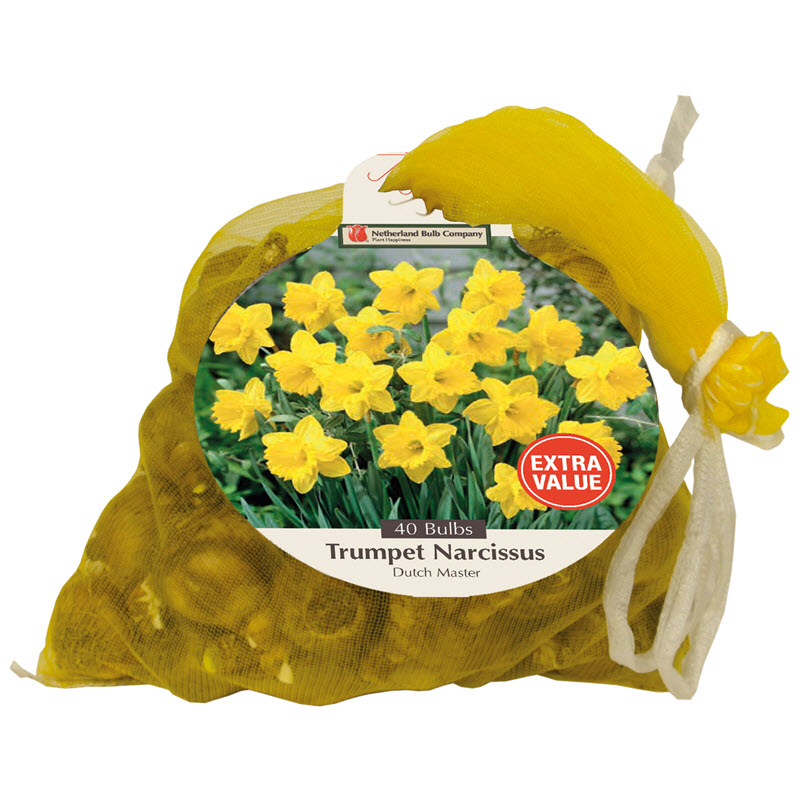 Netherland Bulb Company 8001913687