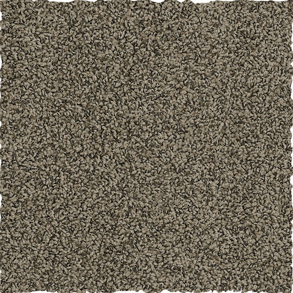 Dream Weaver E227 512