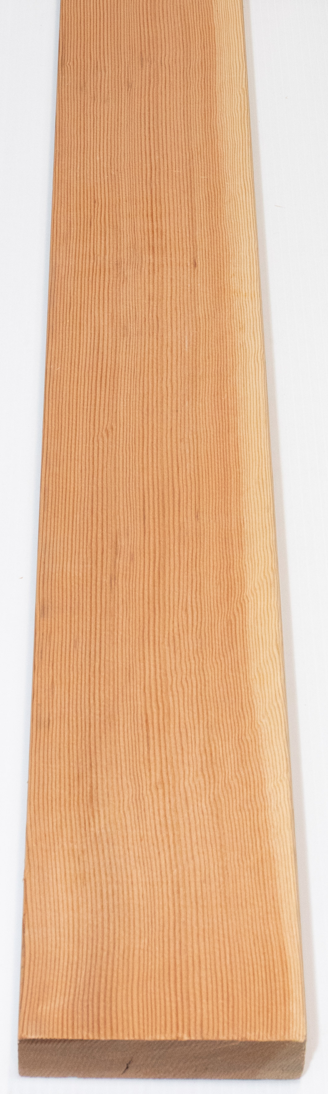 Brightwood FVGC20408