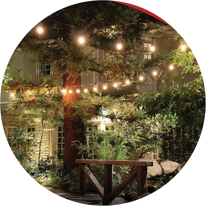 Belle Luci Vintage LED String Light, Holiday Bright Lights, 10 ft L - 3