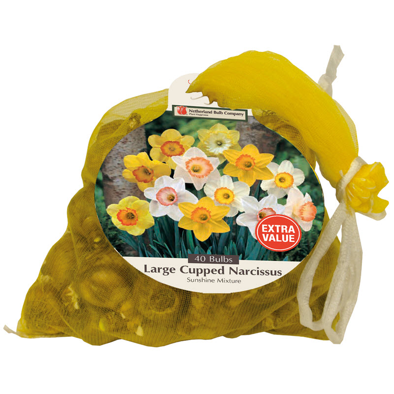 Netherland Bulb Company 8001-911-687