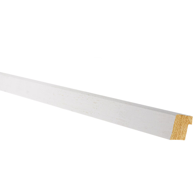 Metrie MP1021