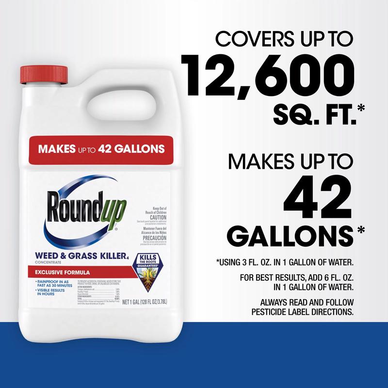 Concentrated Weed and Grass Killer, Roundup, Liquid, 1 gal, Bottle - 3