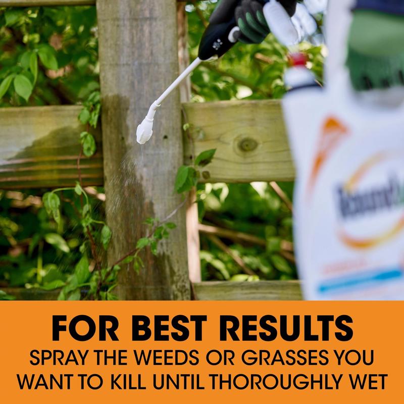Poison Ivy Plus Tough Brush Killer with Comfort Wand, Roundup, 1 gallon - 4
