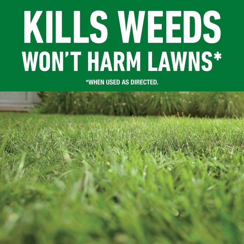 Weed Lawn Killer with Wand, Roundup, 1 gal - 2