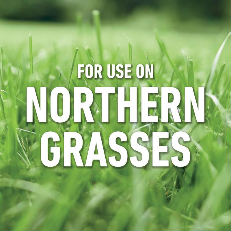 Weed Lawn Killer with Wand, Roundup, 1 gal - 3