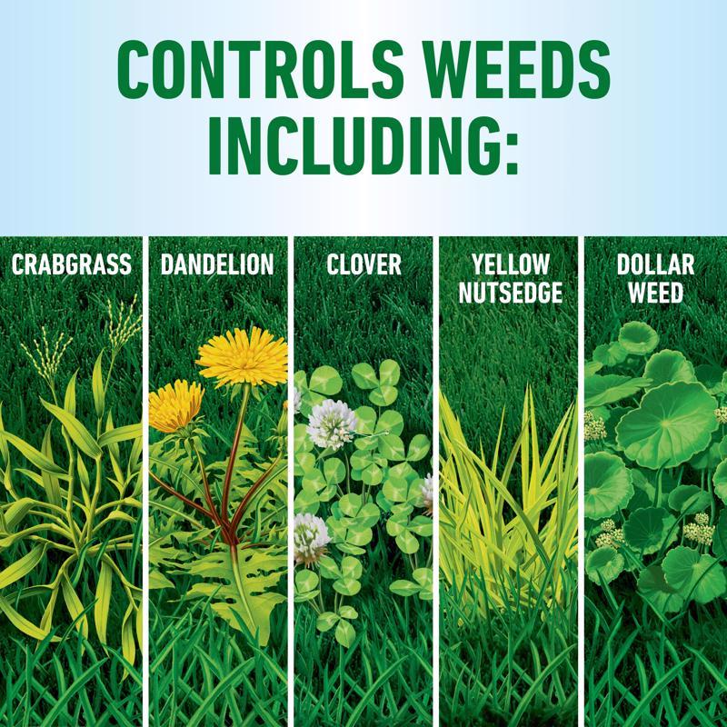 Weed Lawn Killer with Wand, Roundup, 1 gal - 4