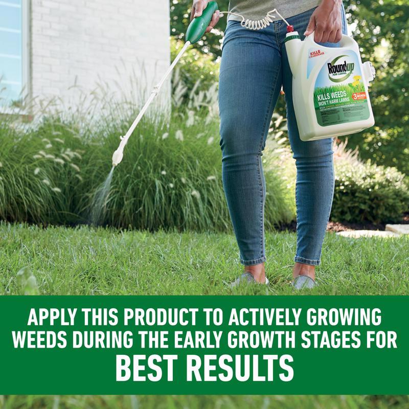 Weed Lawn Killer with Wand, Roundup, 1 gal - 5