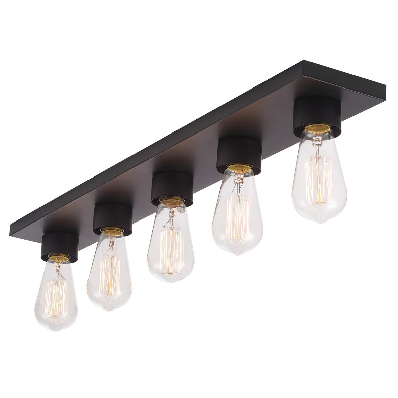 Alden Vanity Light, Globe, 5-Light, 28 in W, Black - 2