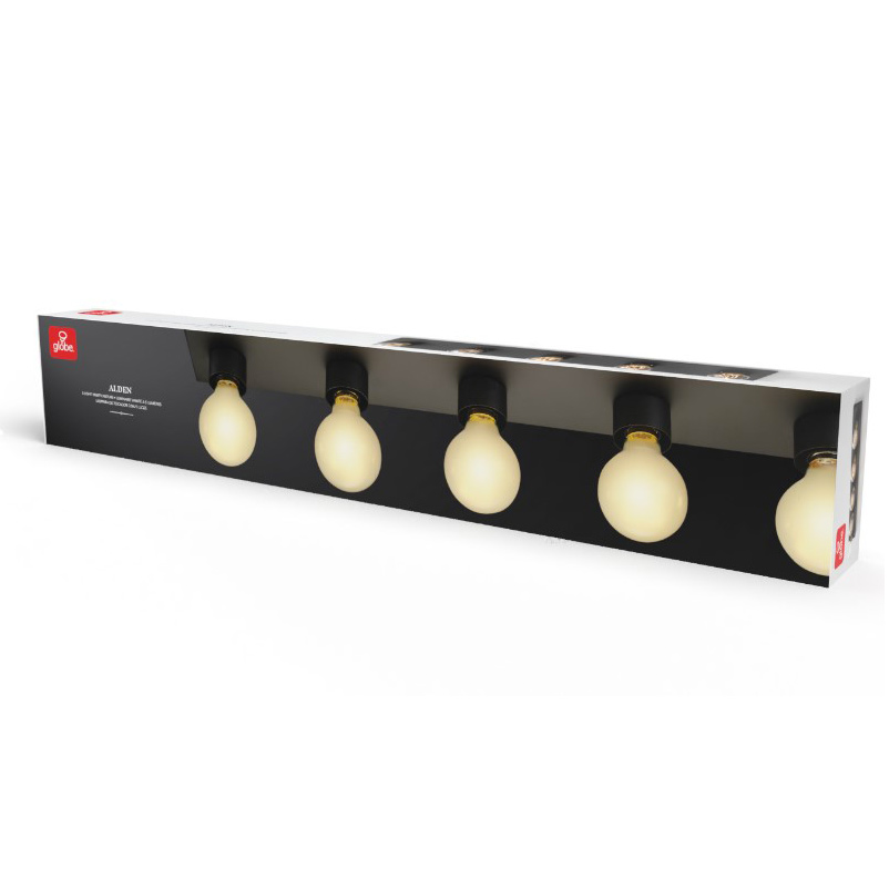 Alden Vanity Light, Globe, 5-Light, 28 in W, Black - 4