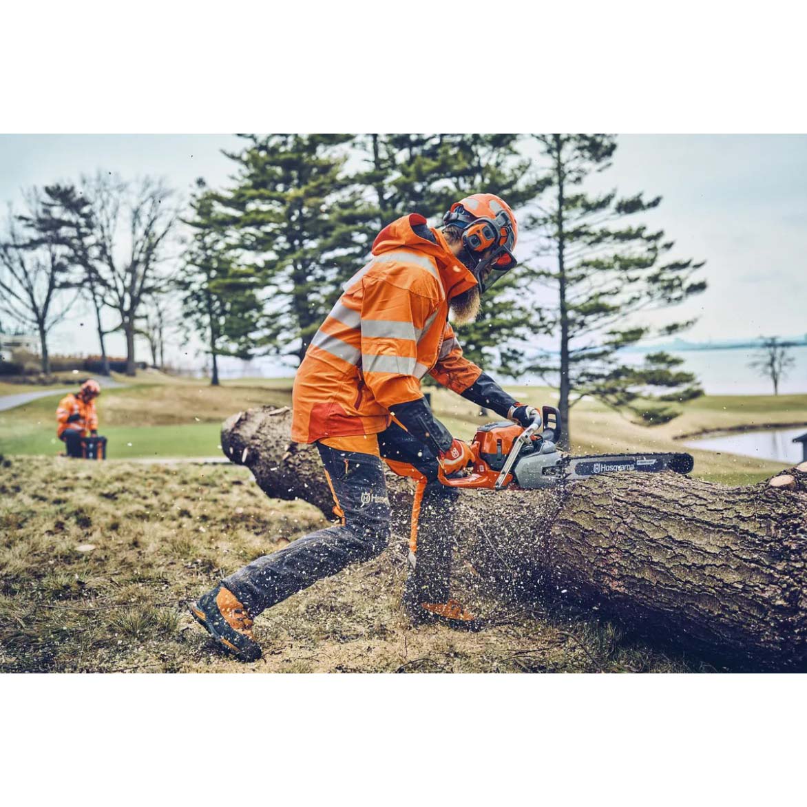 Gas Chainsaw, Husqvarna, 562 XP, Mark II, 59cc, 24 in - 2