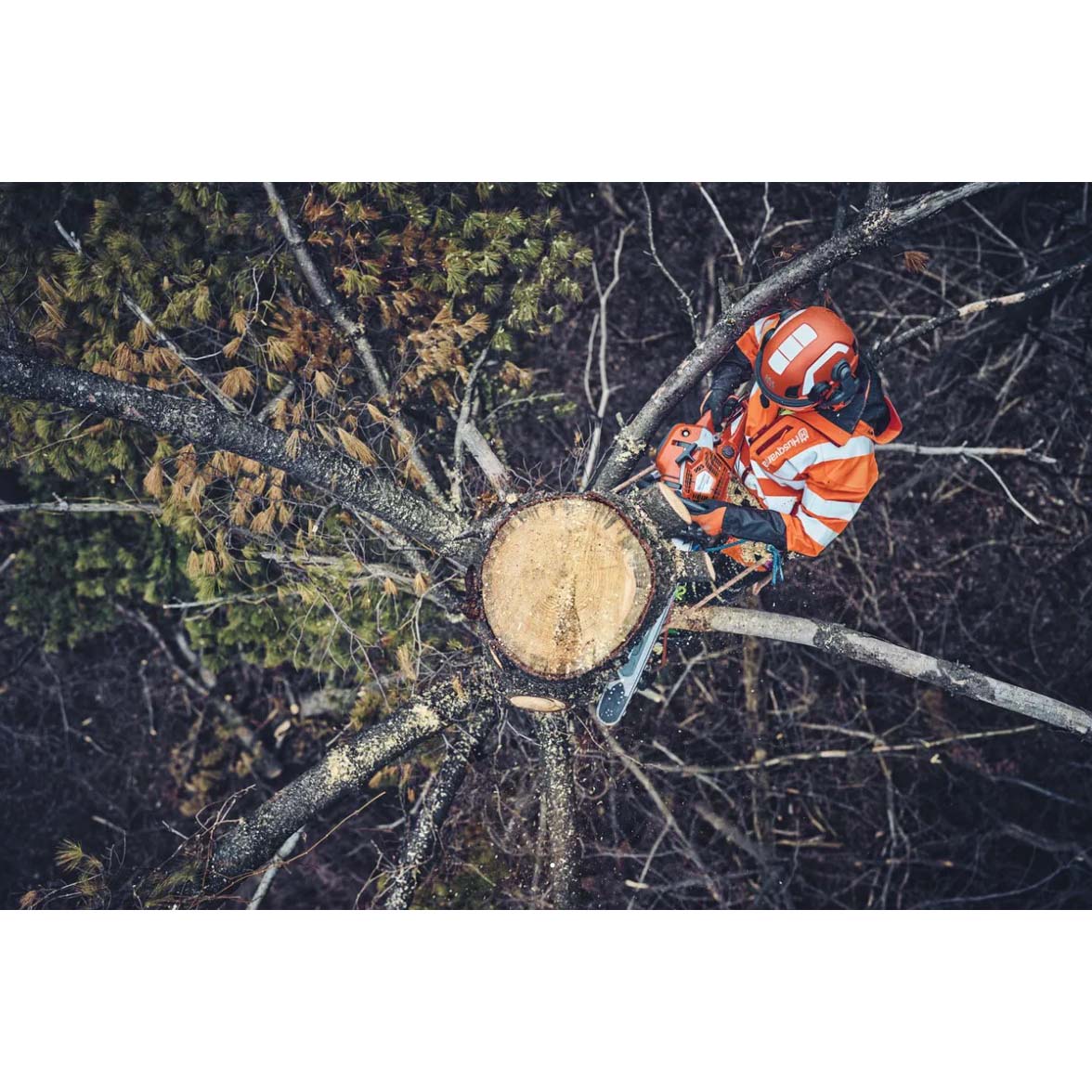 Gas Chainsaw, Husqvarna, 562 XP, Mark II, 59cc, 24 in - 3