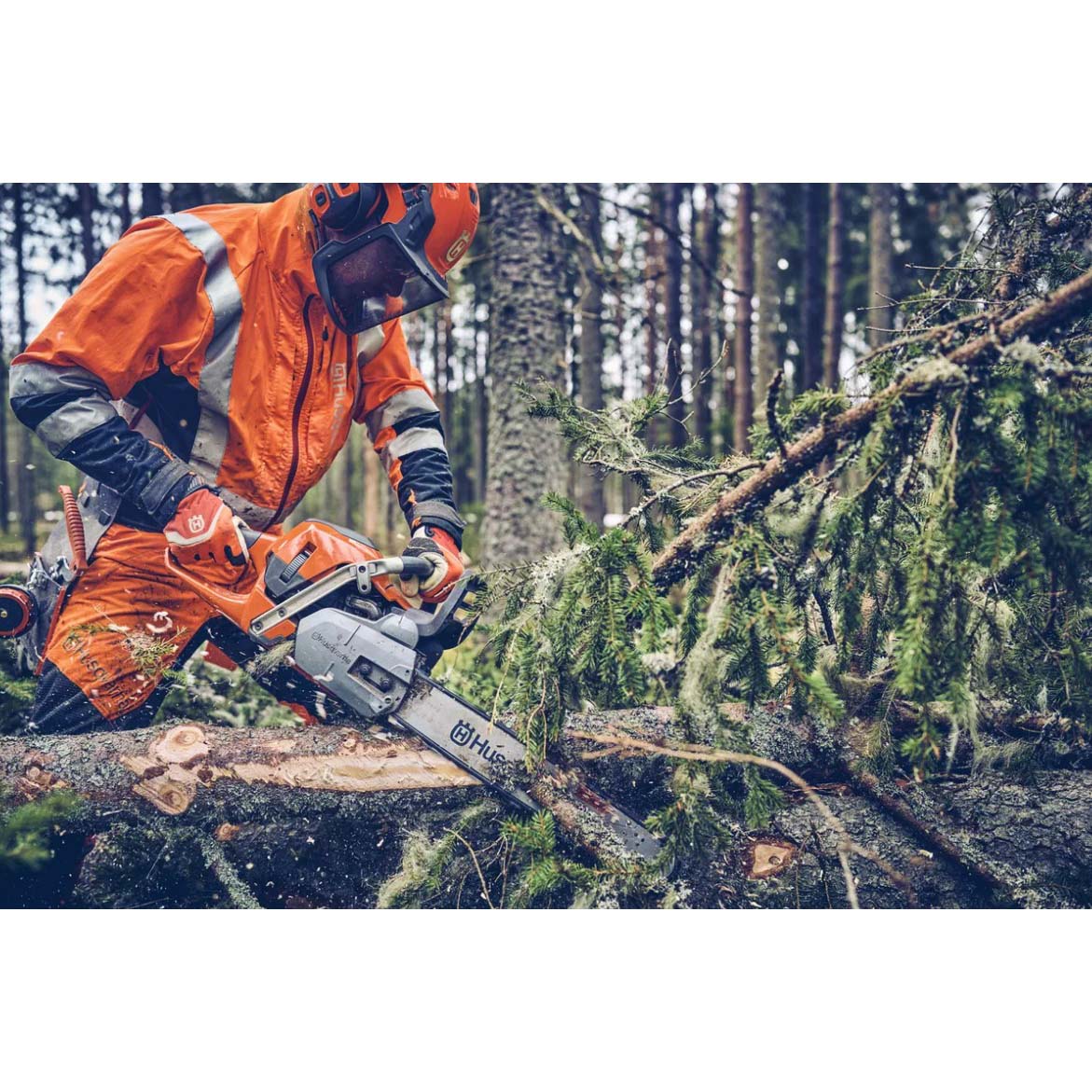 Gas Chainsaw, Husqvarna, 562 XP, Mark II, 59cc, 24 in - 4