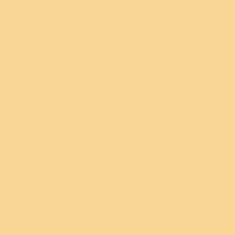 Spray Paint, MTN Colors, Water-Based, Safari Brown, 10 oz Can - 3