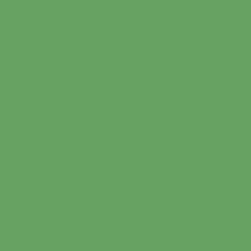 Spray Paint, MTN Colors, Water-Based, Valley Green, 10 oz Can - 3