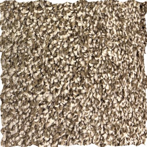 Shaw Floors QS859 230