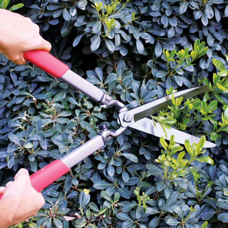 Classiccut&Reg; Hedge Shear, Corona, Resharpenable Blade, 10 in L Blade, Steel Blade, Steel Handle - 2